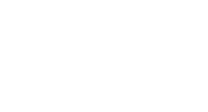 Protects from shocks and vibrations